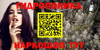 индика Краснознаменск