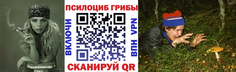 нарко площадка состав  Сегежа  Псилоцибиновые грибы мицелий 